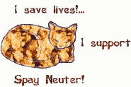 Spay/Neuter